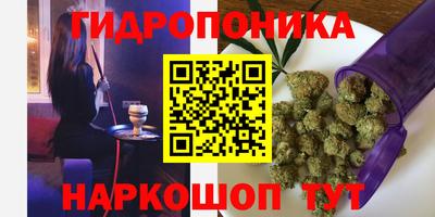 дживик Будённовск