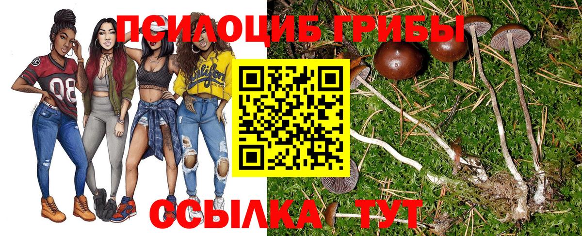 Псилоцибиновые грибы мухоморы Кунгур