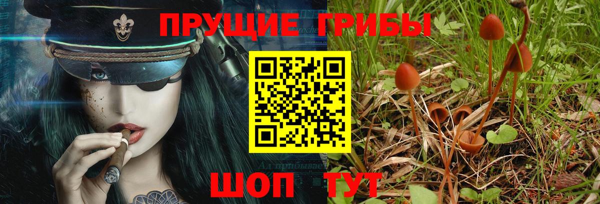 Псилоцибиновые грибы Psilocybine cubensis  Псилоцибиновые грибы Psilocybe  Вход с VPN  Кунгур 