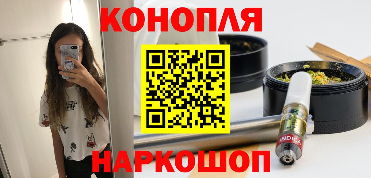 Шишки марихуана сатива  Вход с VPN  Бошки Шишки план  Бошки Шишки ГИДРОПОН  Конопля сатива  Кунгур 